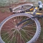 Ola polar en Misiones Posadas registro 1 °C y se reportaron heladas intensas 3 - 20